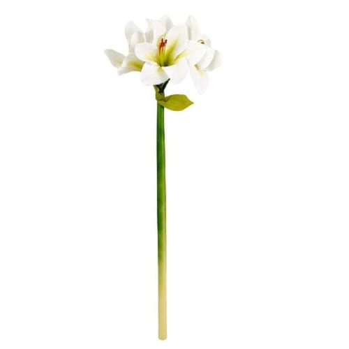 Amarilis Branca Planta Artificial 63X19Cm Haste | Ponto