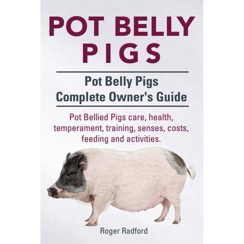 pot-belly-pigs-pot-belly-pigs-complete-owners-guide-pot-bellied-pigs