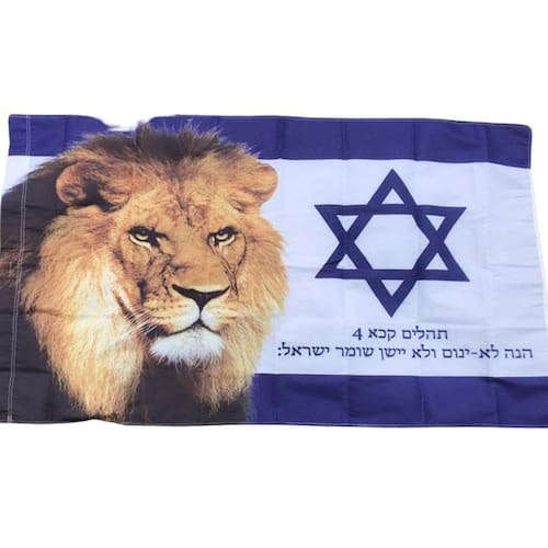 Bandeira Profética Israel E Leão De Judá 90X 150 Cm Ponto