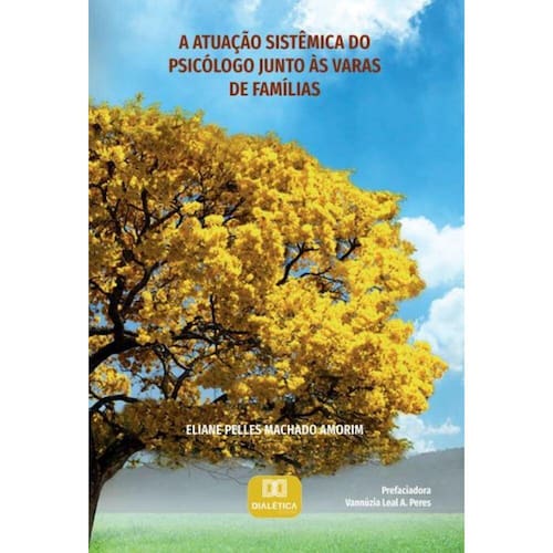 A Atua o Sist mica Do Psic logo Junto s Varas De Fam lias Ponto