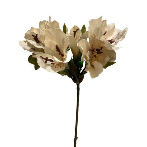 Buque Astromelia Creme Flores 38 Cm | Ponto