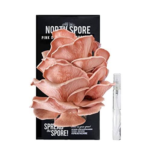 North Spore Pink Oyster Mushroom Spray & Grow Kit (4 lbs) Iniciante