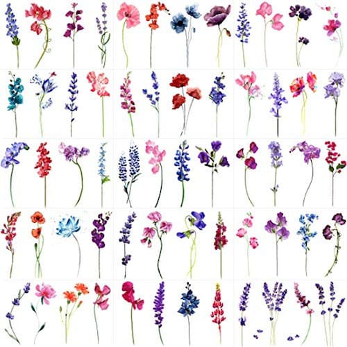 Rejaski 15 folhas aquarela flor lavanda | Ponto