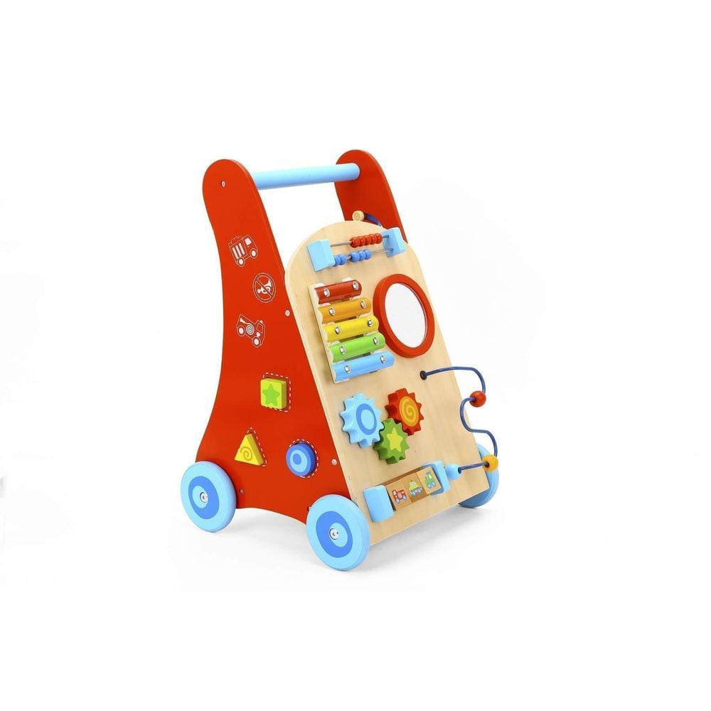 Andador Baby - Carrinho Multifunção - Tooky Toy, Multicolorido
