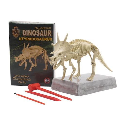 Kit De Jogo De Escavação De Fósseis De Dinossauros Conjunto Ponto