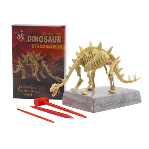 Kit De Jogo De Escavação De Fósseis De Dinossauros Conjunto Ponto