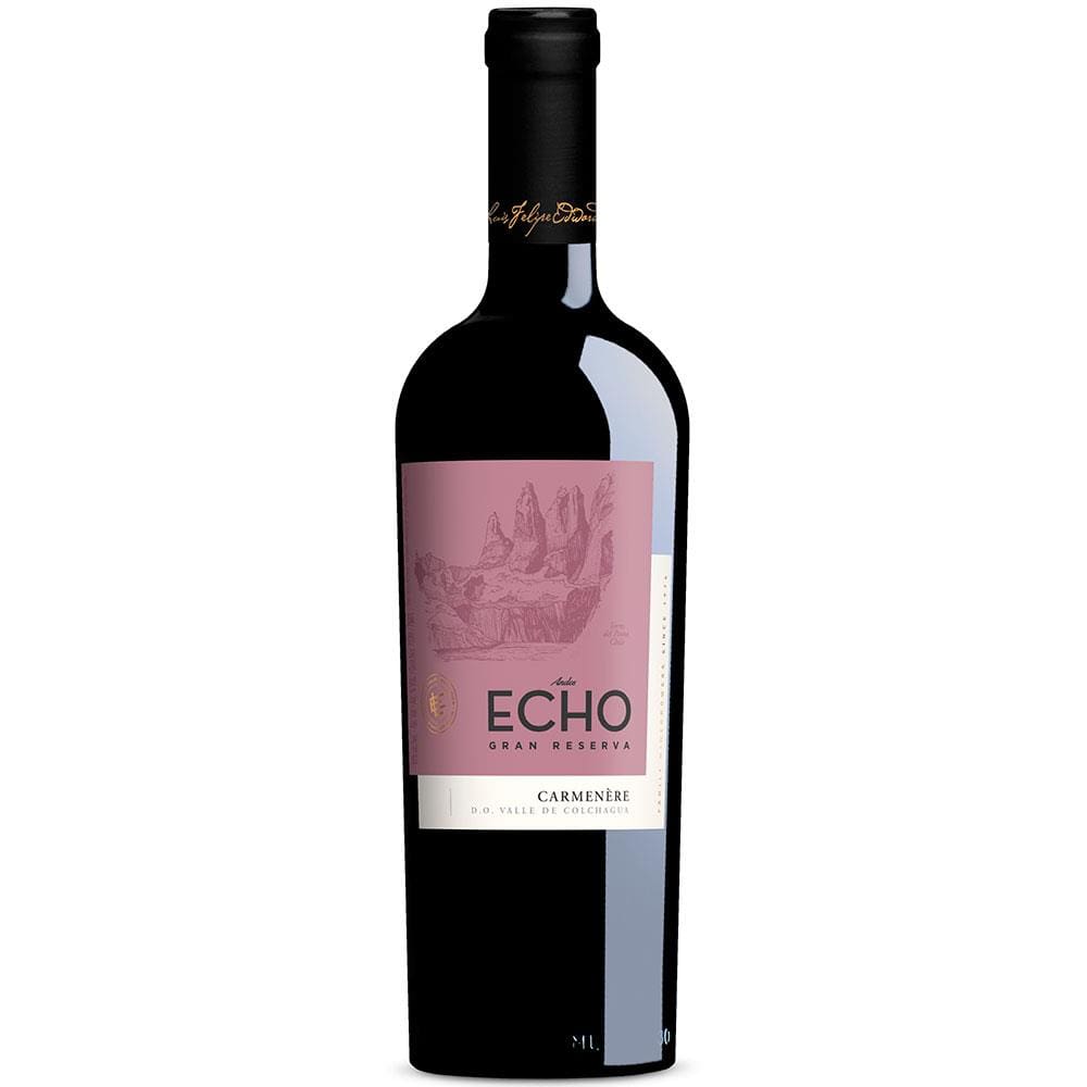Vinho Chileno Echo Gran Reserva Carmenére Tinto 750ml